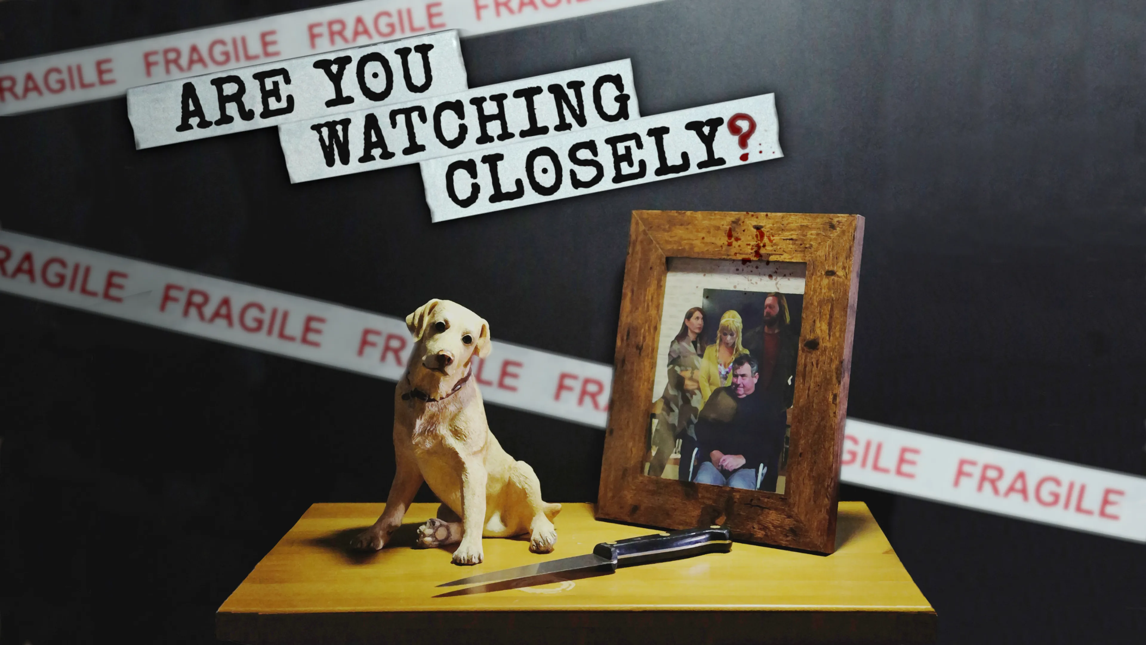 Are You Watching Closely? poster